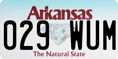AR license plate 029WUM