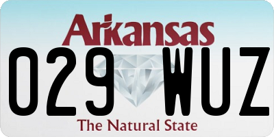 AR license plate 029WUZ