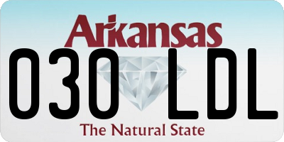 AR license plate 030LDL
