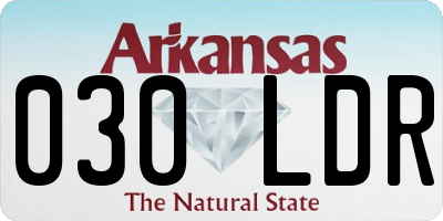 AR license plate 030LDR
