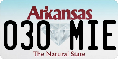 AR license plate 030MIE