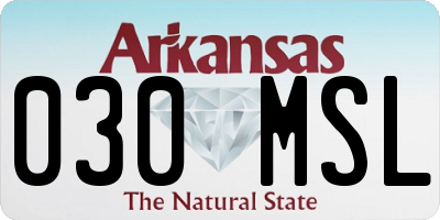 AR license plate 030MSL