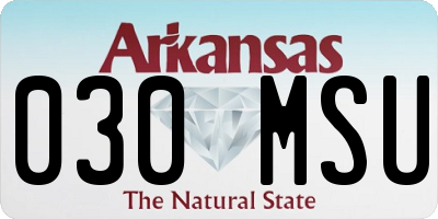 AR license plate 030MSU