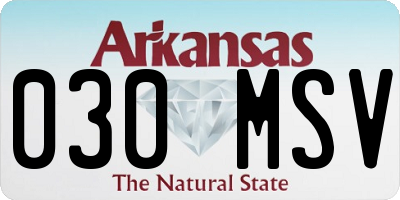 AR license plate 030MSV