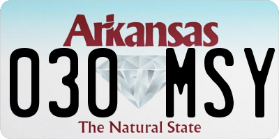 AR license plate 030MSY