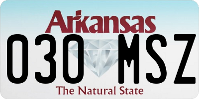 AR license plate 030MSZ
