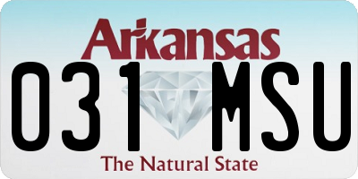 AR license plate 031MSU