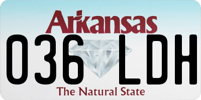 AR license plate 036LDH