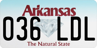 AR license plate 036LDL