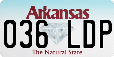 AR license plate 036LDP