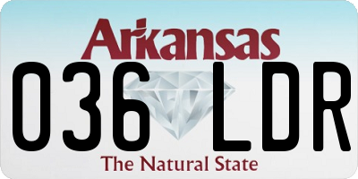 AR license plate 036LDR