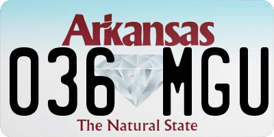 AR license plate 036MGU