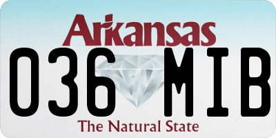 AR license plate 036MIB