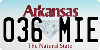 AR license plate 036MIE
