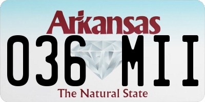 AR license plate 036MII