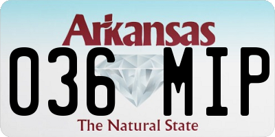 AR license plate 036MIP
