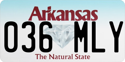 AR license plate 036MLY