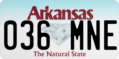 AR license plate 036MNE