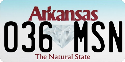 AR license plate 036MSN