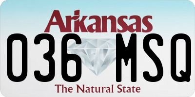 AR license plate 036MSQ