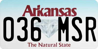 AR license plate 036MSR