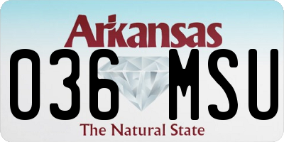 AR license plate 036MSU