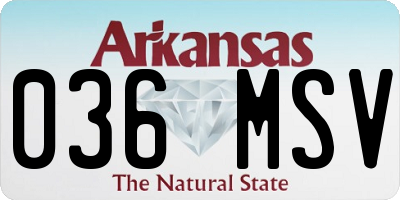AR license plate 036MSV