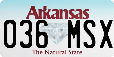 AR license plate 036MSX