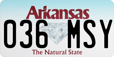 AR license plate 036MSY