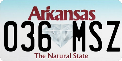 AR license plate 036MSZ