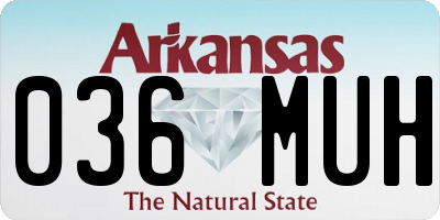 AR license plate 036MUH