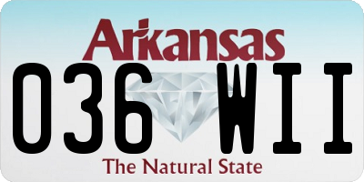 AR license plate 036WII