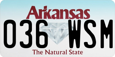 AR license plate 036WSM