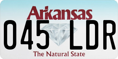 AR license plate 045LDR