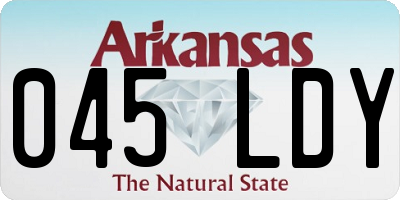 AR license plate 045LDY