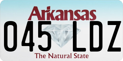 AR license plate 045LDZ