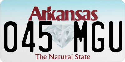 AR license plate 045MGU