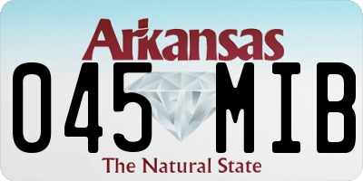 AR license plate 045MIB