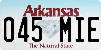 AR license plate 045MIE