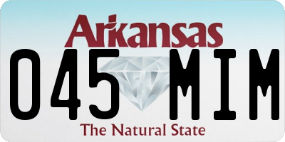 AR license plate 045MIM