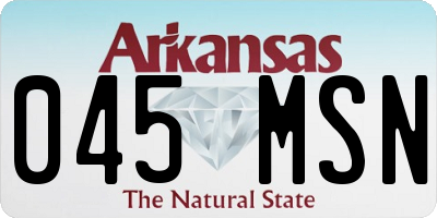 AR license plate 045MSN