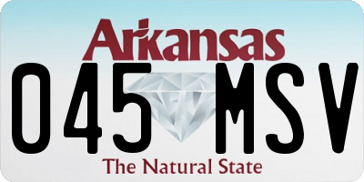 AR license plate 045MSV