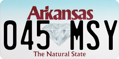 AR license plate 045MSY