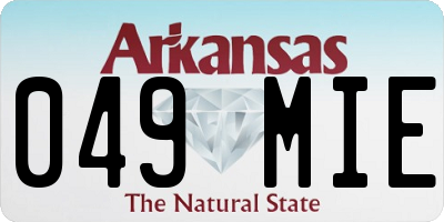 AR license plate 049MIE