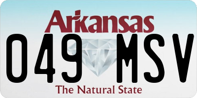 AR license plate 049MSV