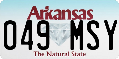 AR license plate 049MSY