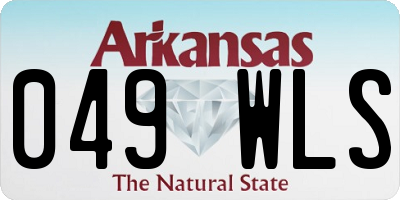 AR license plate 049WLS