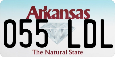 AR license plate 055LDL
