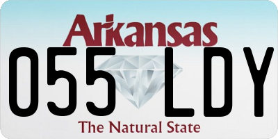 AR license plate 055LDY