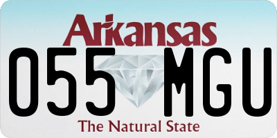AR license plate 055MGU